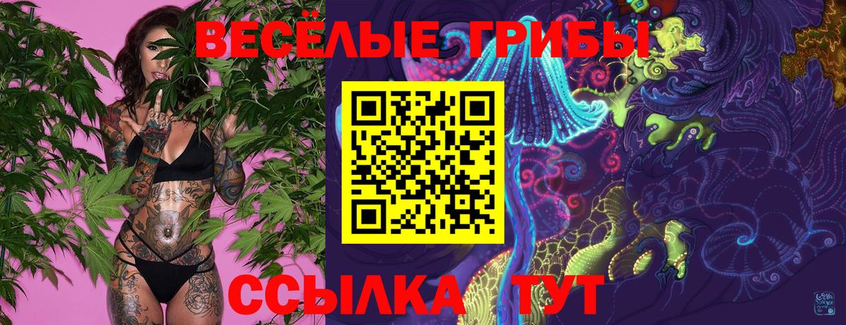 Псилоцибиновые грибы мицелий Коркино