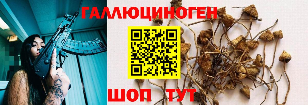 Галлюциногенные грибы Psilocybine cubensis  Галлюциногенные грибы Psilocybe  Коркино  Вход с VPN 